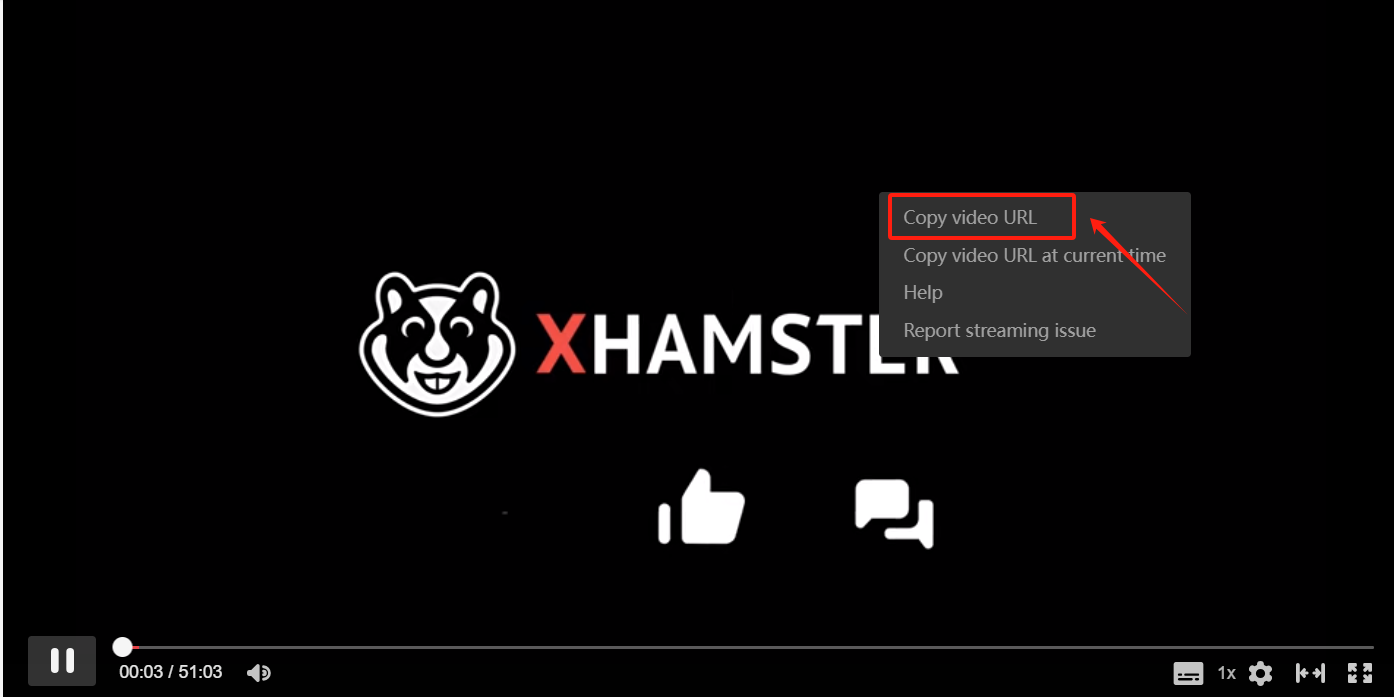 Use XHamster Online Downloader-step 2