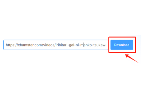 Paste xhamster link into the input
